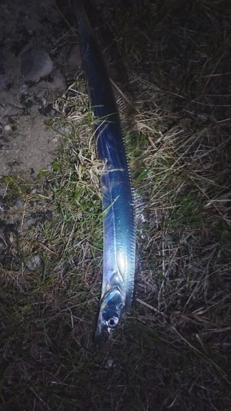 一本釣れる現象