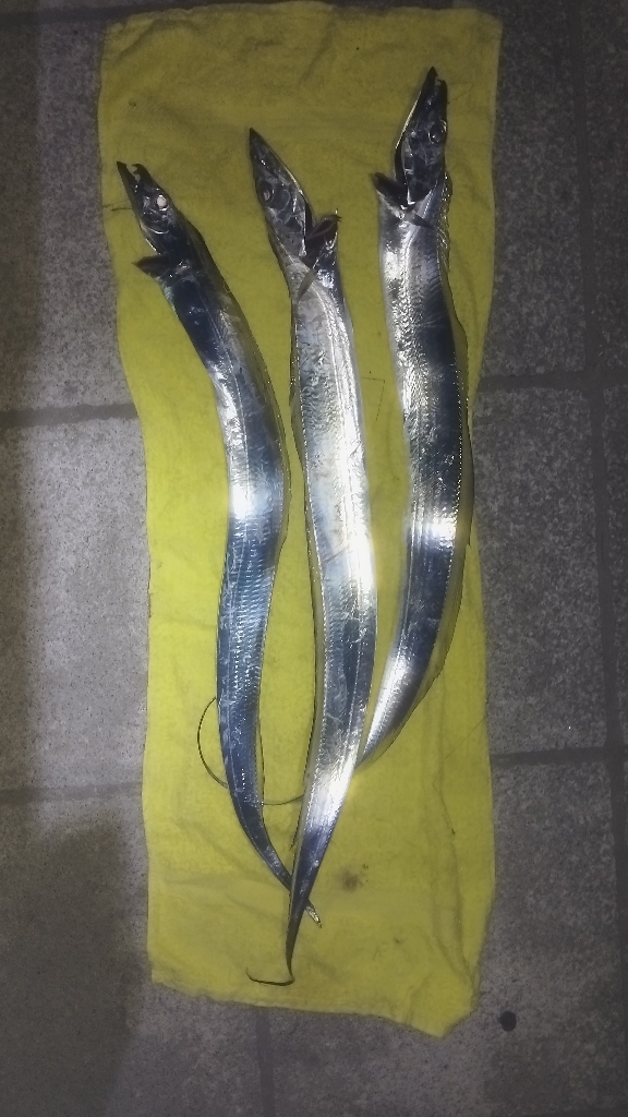 まだまだイケそう