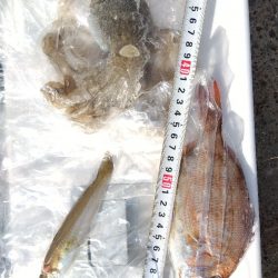 苅屋海岸の投げ釣り