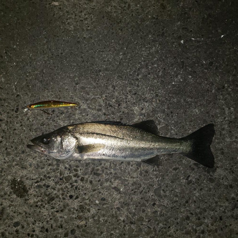 まだまだ修行がたらん！