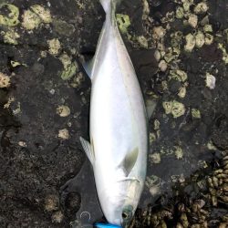 ニューロッドには物足りない