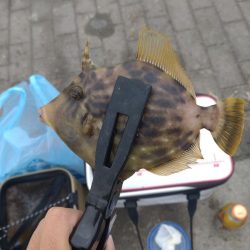 南港シーサイドコスモ