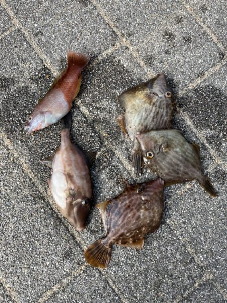 今シーズン最後かな