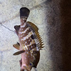 仕事終わりにちょこっと