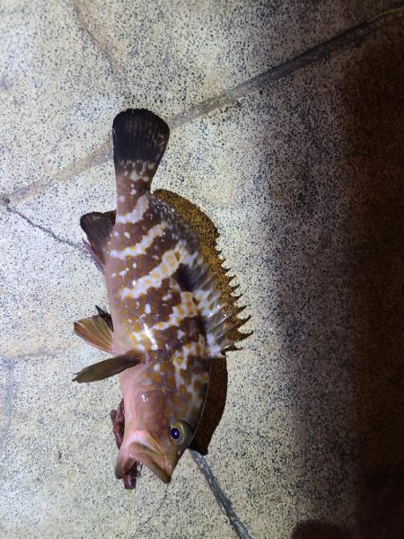 仕事終わりにちょこっと