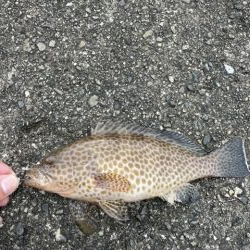 ライトゲーム？