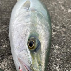 帰ろうかなーその時