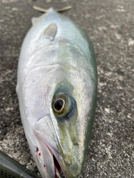 帰ろうかなーその時