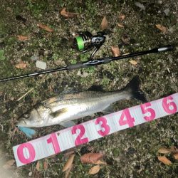 ががっときました。