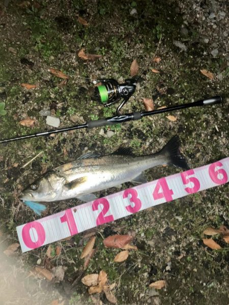 ががっときました。