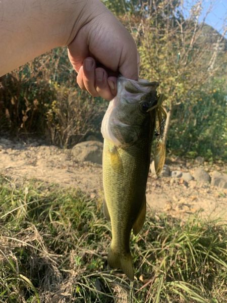千種川から野池に移動