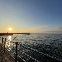 ギリギリアジしか釣れん