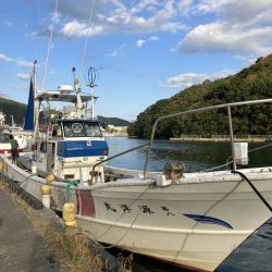 アオリイカ釣り