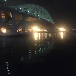 夜釣り