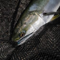 日没後の猛打賞?