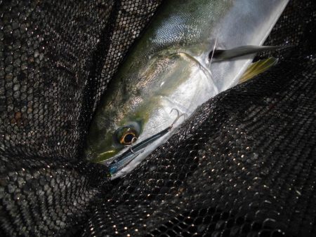 日没後の猛打賞?