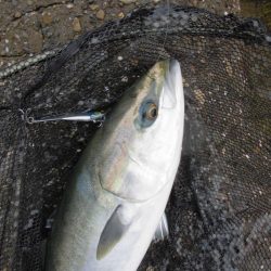 朝の猛打賞は8時から