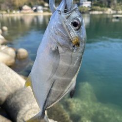 引き続き次の日も同じ場所