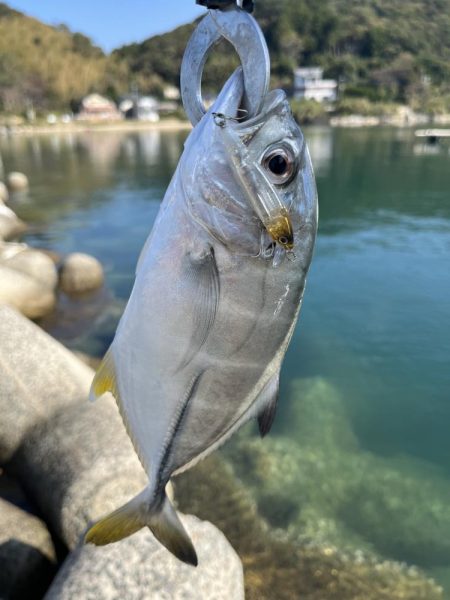 引き続き次の日も同じ場所