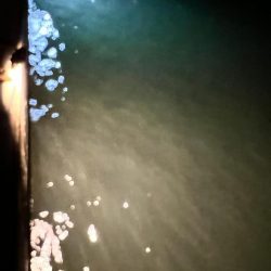 兄弟でアジング！！