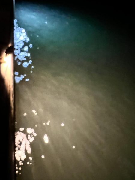 兄弟でアジング！！