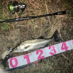 ががっときました。