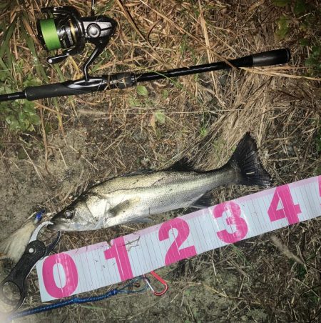 ががっときました。