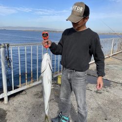 ★★怪物現れる★★