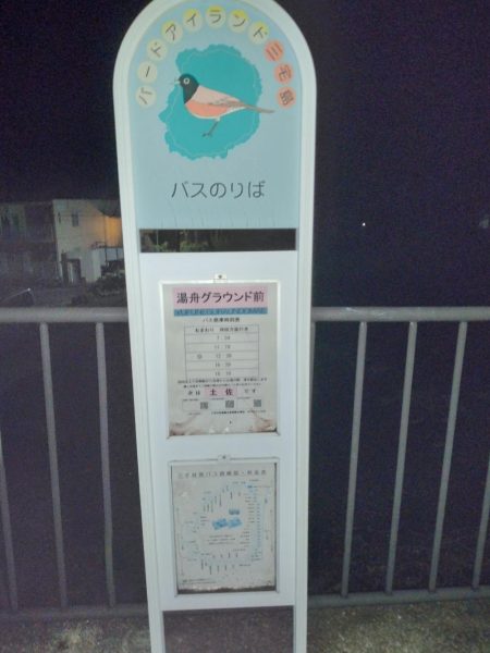 三宅島「湯の浜港」入釣、海は「食欲の秋」真盛り