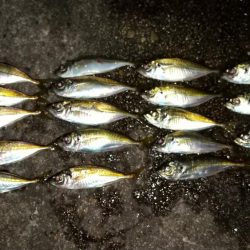 ツ抜けチャレンジ達成しました～👍