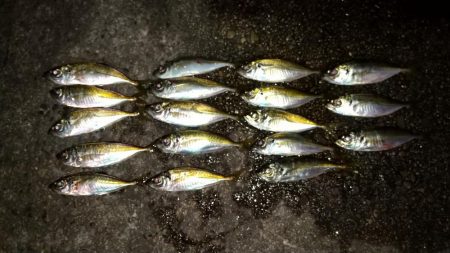 ツ抜けチャレンジ達成しました～Ǵ…