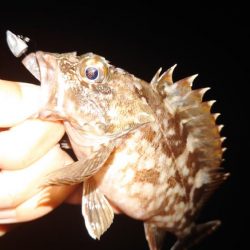 ライトワインド