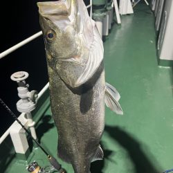 大分杵築沖　シーバス狙い