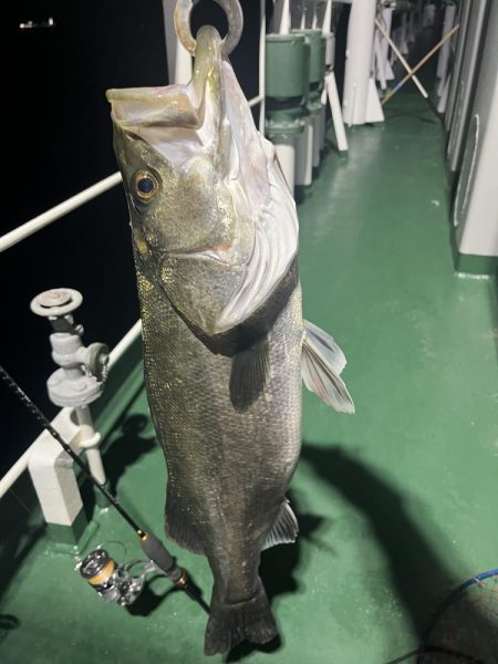 大分杵築沖　シーバス狙い