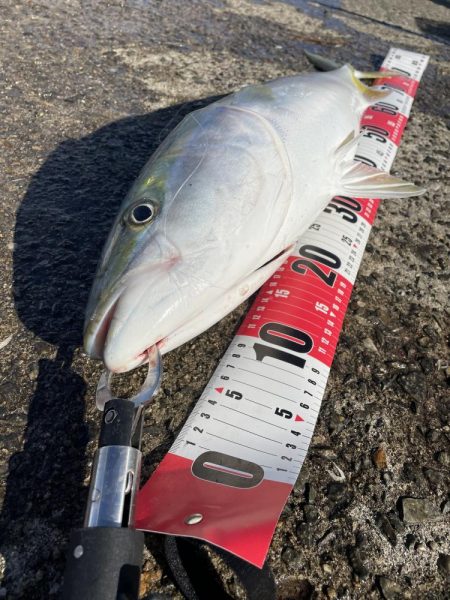 ★★とうとう奴が来た★★