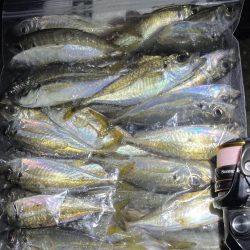 30匹オーバーアジング