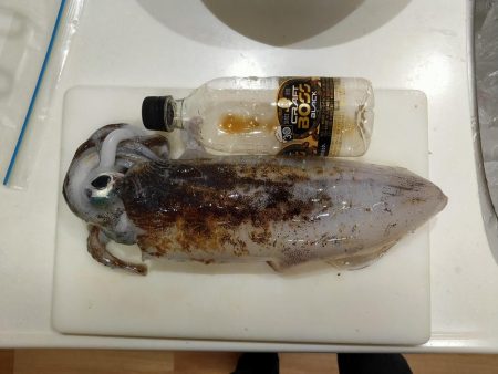 アオリキロアップ