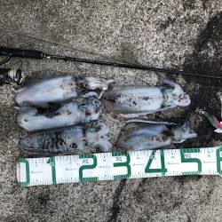 2022 佐渡ヶ島エギング 39回目【10月29日】