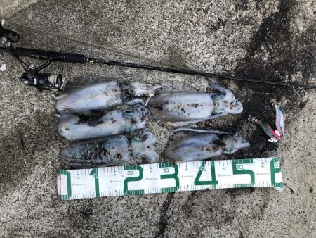 2022 佐渡ヶ島エギング 39回目【10月29日】