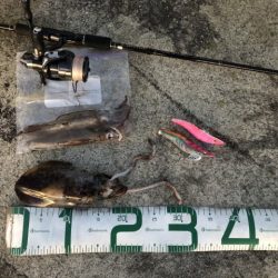 2022 佐渡ヶ島エギング 53回目【11月25日】