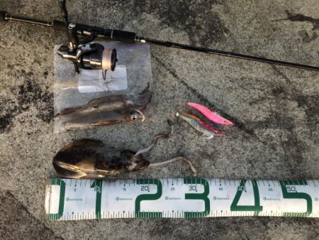 2022 佐渡ヶ島エギング 53回目【11月25日】