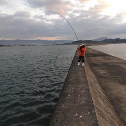 メジロ・ハマチ・アジ・・・