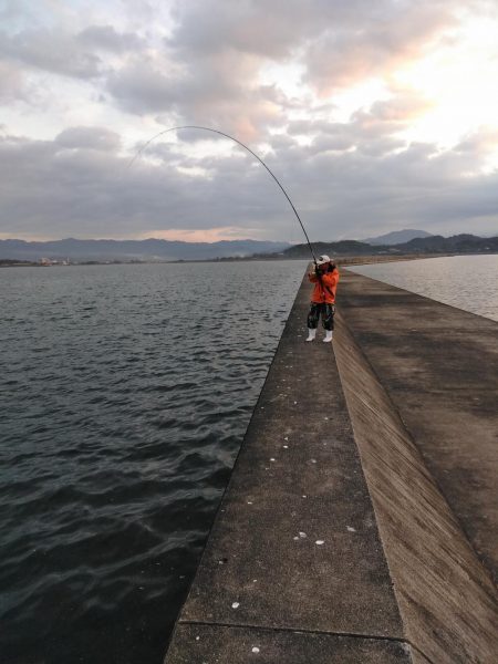 メジロ・ハマチ・アジ・・・