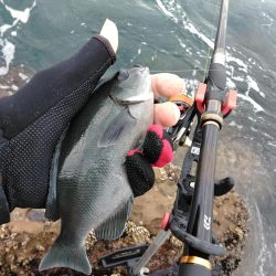 フカセ‥最高ですネ・・