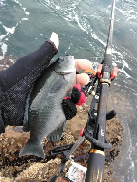 フカセ‥最高ですネ・・