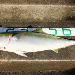 リベンジ！！嬉しい外道