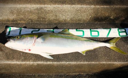 リベンジ！！嬉しい外道