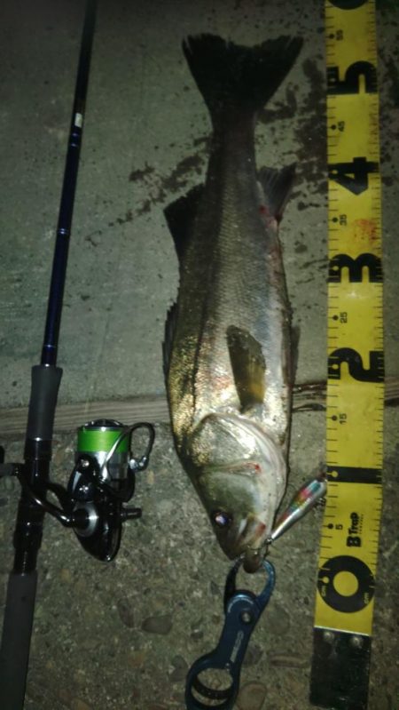 ぶら河川調査！！