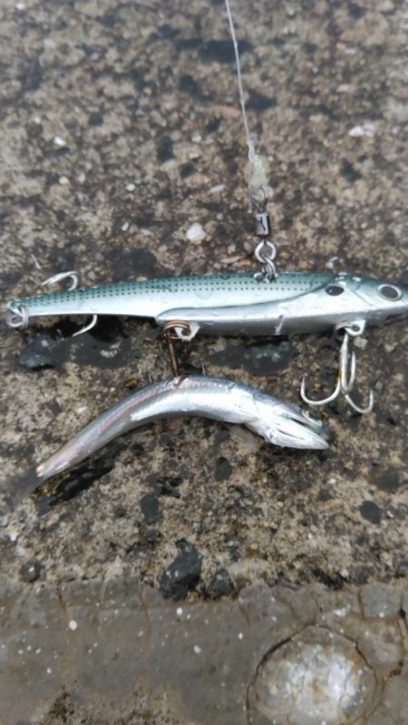 ラインチェックは怠るな！