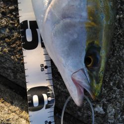 リールが･･･。